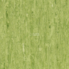 Tarkett iq Optima GREEN 0861 фото 1 | FLOORDEALER